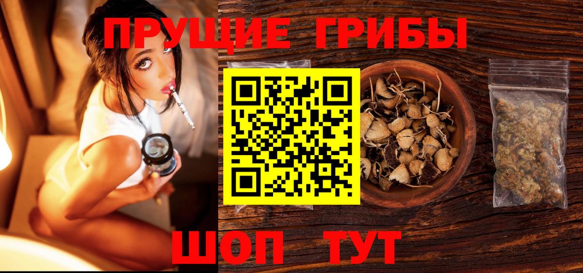 закладки  Вход с VPN  Галлюциногенные грибы Magic Shrooms  Чита  Псилоцибиновые грибы прущие грибы 